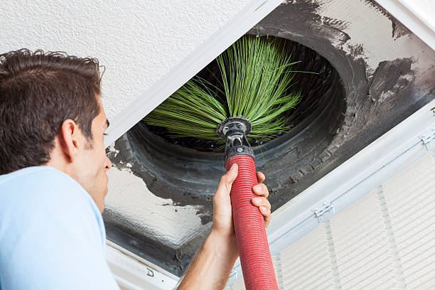 Best Professional Duct Cleaning Services  in Zion, IL